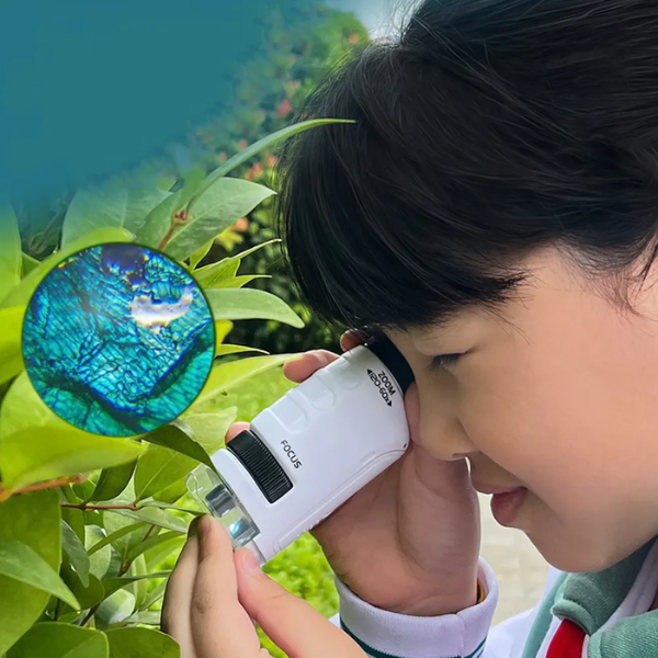 MicroVision Microscópio Portátil Descubre un Nuevo Mundo  - [PROMOCIÓN DISPONIBLE SOLO HOY]
