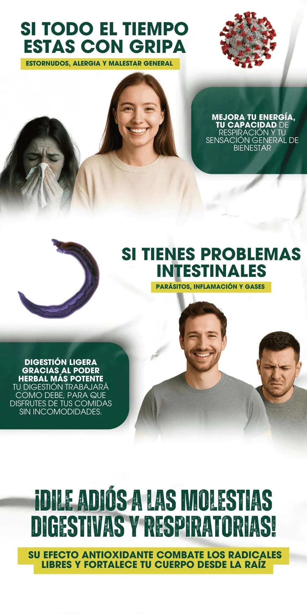Aceite de Orégano Concentrado - Apoyo natural diario - Imagen 3